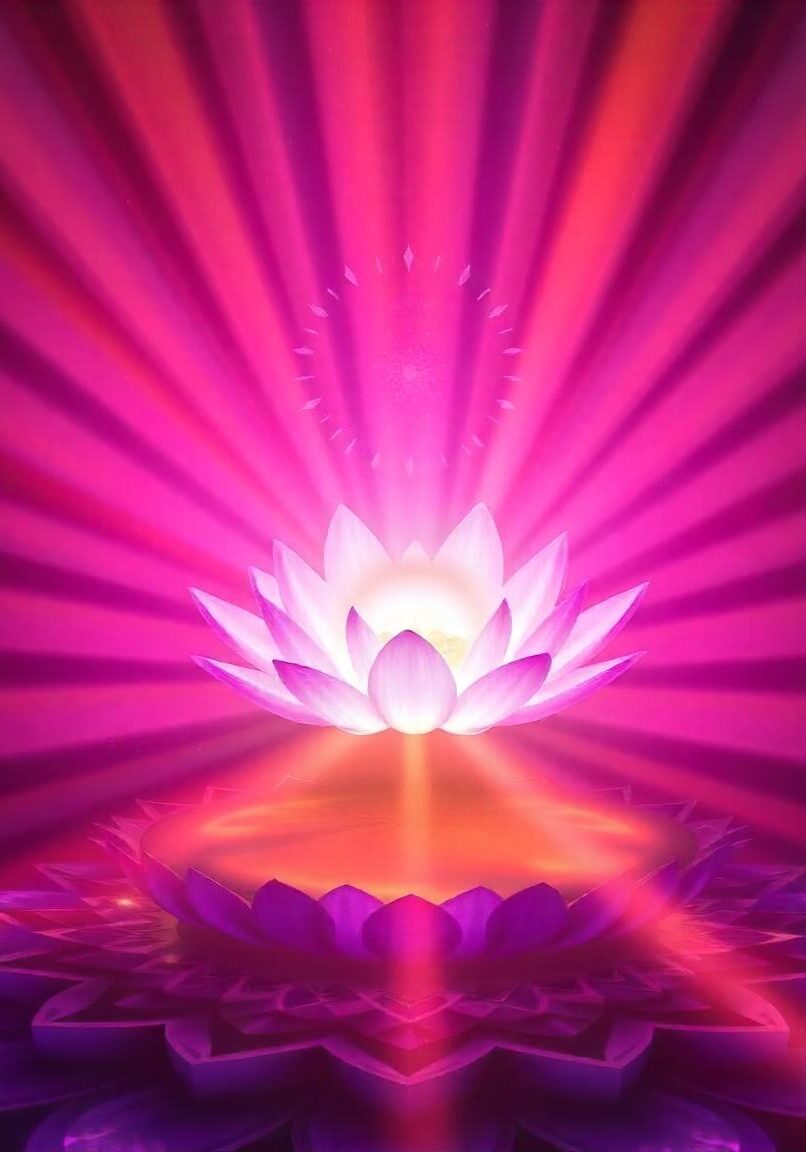 freepik__lotus-and-crown-chakra-violet-rays-and-sunlight__58786
